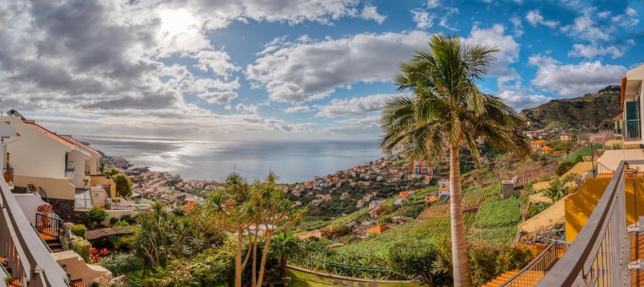 Palm Tree House By Amazing Madeira Βίλα Câmara de Lobos Εξωτερικό φωτογραφία