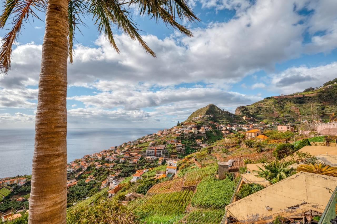 Palm Tree House By Amazing Madeira Βίλα Câmara de Lobos Εξωτερικό φωτογραφία