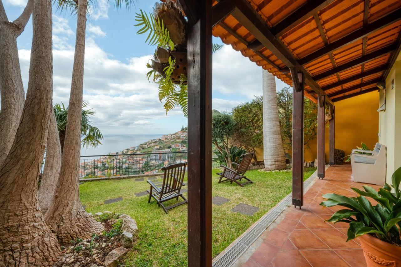 Palm Tree House By Amazing Madeira Βίλα Câmara de Lobos Εξωτερικό φωτογραφία